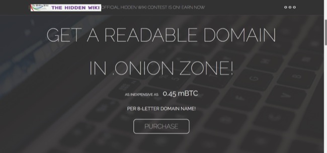 afbeelding van de startpagina van Onion.name