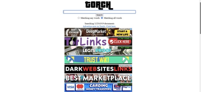 afbeelding van Torch-homepage