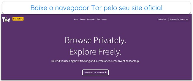 Imagem da p&aacute;gina inicial do Projeto Tor.