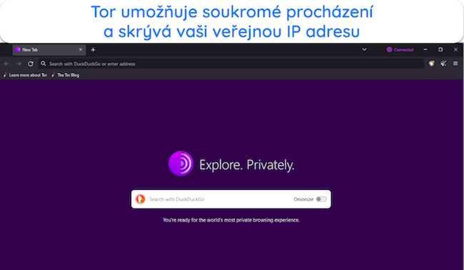 Sn&iacute;mek obrazovky domovsk&eacute; str&aacute;nky prohl&iacute;žeče Tor