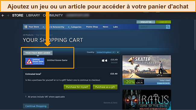 Capture d'&eacute;cran du tableau de bord Steam avec surbrillance entourant un jeu r&eacute;cemment ajout&eacute; au panier.