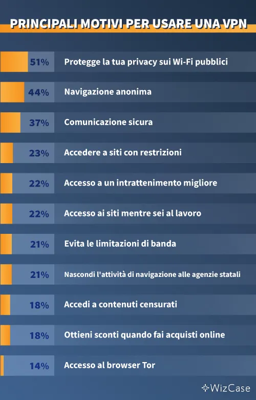 Infografica sui principali motivi per cui le persone usano le VPN.