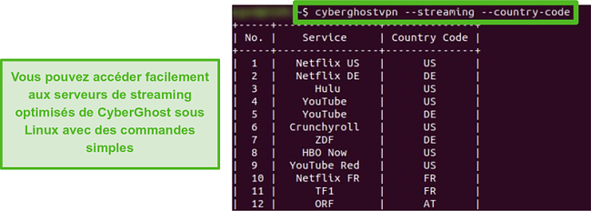 Capture d'&eacute;cran des serveurs de streaming d&eacute;di&eacute;s de CyberGhost sur Linux.