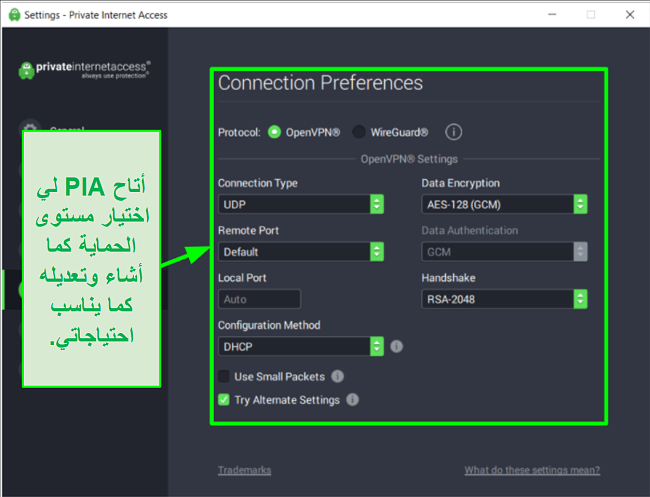لقطة شاشة لإعدادات أمان PIA المتاحة