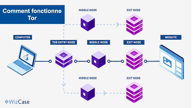 Un diagramme d&eacute;taillant le chemin des donn&eacute;es dans une configuration Tor sur VPN