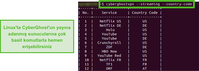 CyberGhost'un Linux'taki &ouml;zel akış sunucularının ekran g&ouml;r&uuml;nt&uuml;s&uuml;.