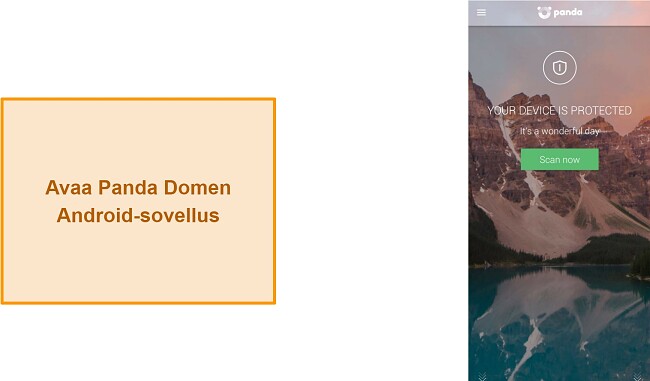 Kuvakaappaus Pandan Dome -sovelluksen päänäytöstä