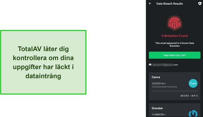 Skärmdump av TotalAV med dataläckagekontroll