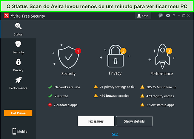 Captura de tela do aplicativo Avira para Windows com os resultados de uma verifica&ccedil;&atilde;o de status exibidos.