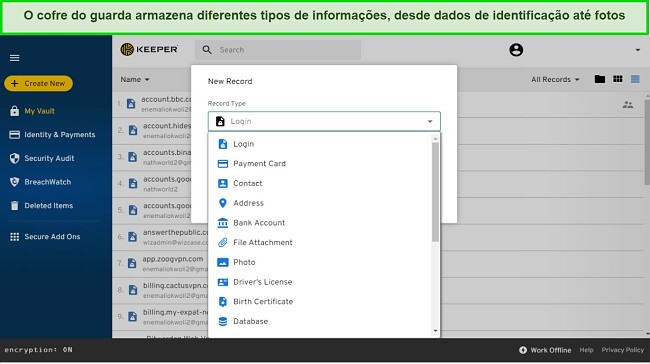 Uma imagem do cofre do guarda, onde s&atilde;o armazenados diversos tipos de informa&ccedil;&otilde;es, desde dados de identifica&ccedil;&atilde;o at&eacute; fotos