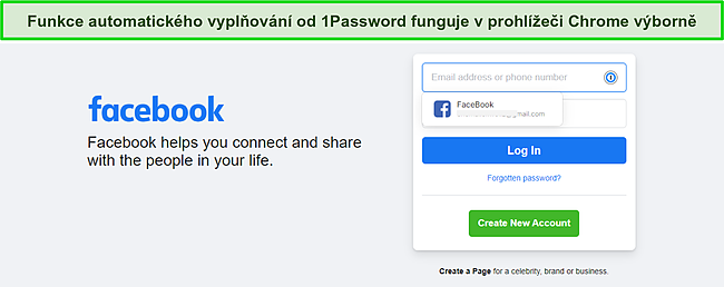 Sn&iacute;mek obrazovky funkce automatick&eacute;ho vyplňov&aacute;n&iacute; 1Password.