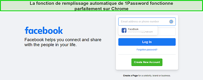 Capture d'&eacute;cran de la fonctionnalit&eacute; de remplissage automatique de 1Password.