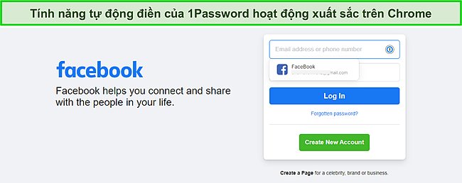 Ảnh chụp m&agrave;n h&igrave;nh của t&iacute;nh năng tự động điền 1Password.
