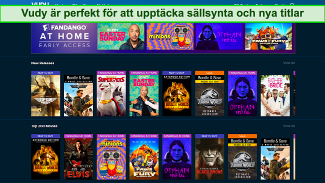 Sk&auml;rmdump av titelalternativ p&aring; Vudus startsk&auml;rm
