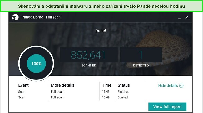 Sn&iacute;mek obrazovky str&aacute;nky s &uacute;pln&yacute;mi v&yacute;sledky skenov&aacute;n&iacute; Panda