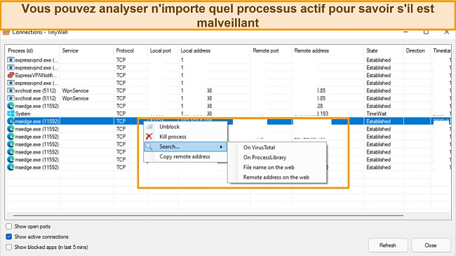 Capture d'&eacute;cran de l'onglet Connexions Tinywall