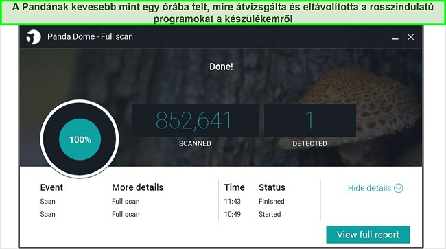 K&eacute;pernyők&eacute;p a Panda teljes vizsg&aacute;lati eredm&eacute;nyoldal&aacute;r&oacute;l