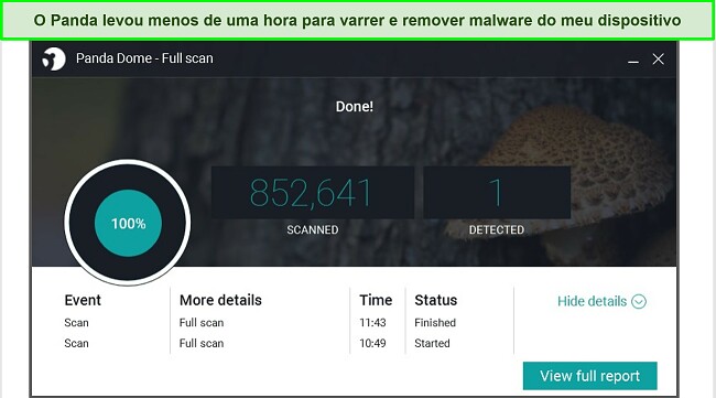 Captura de tela da p&aacute;gina de resultados da verifica&ccedil;&atilde;o completa do Panda