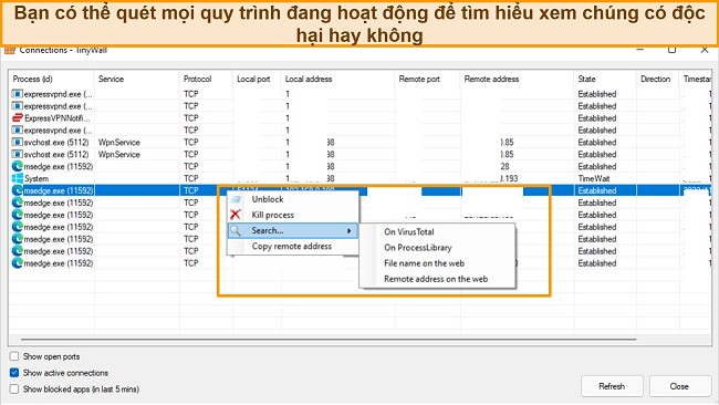 Ảnh chụp m&agrave;n h&igrave;nh tab kết nối Tinywall