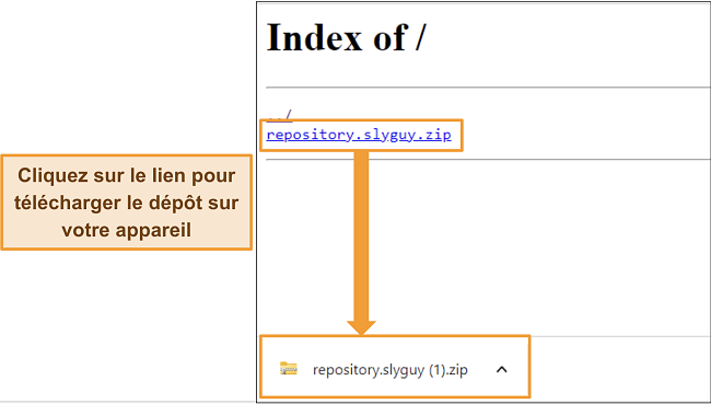 Capture d'&eacute;cran du t&eacute;l&eacute;chargement du d&eacute;p&ocirc;t Slyguy en tant que fichier zip &agrave; partir de son site h&ocirc;te.