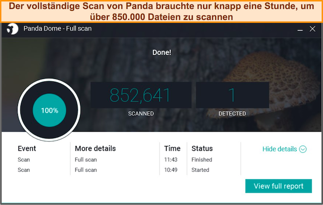 Vollst&auml;ndiger Bericht zum besten Cloud-basierten Antiviren-Panda