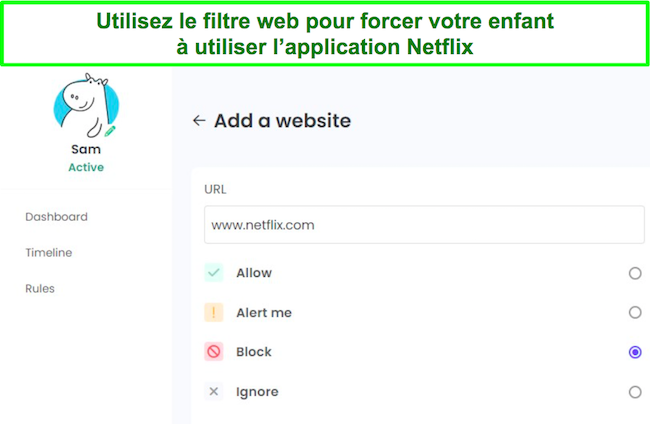 Capture d'&eacute;cran du filtre Web du contr&ocirc;le parental Netflix