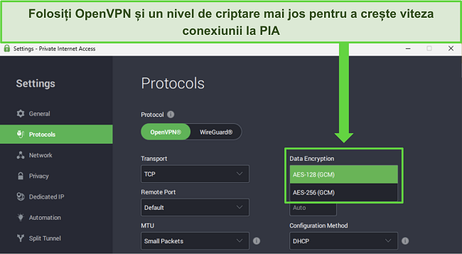Imaginea aplicației Windows PIA, arăt&acirc;nd caracteristicile personalizabile care pot oferi o creștere a vitezei rețelei.