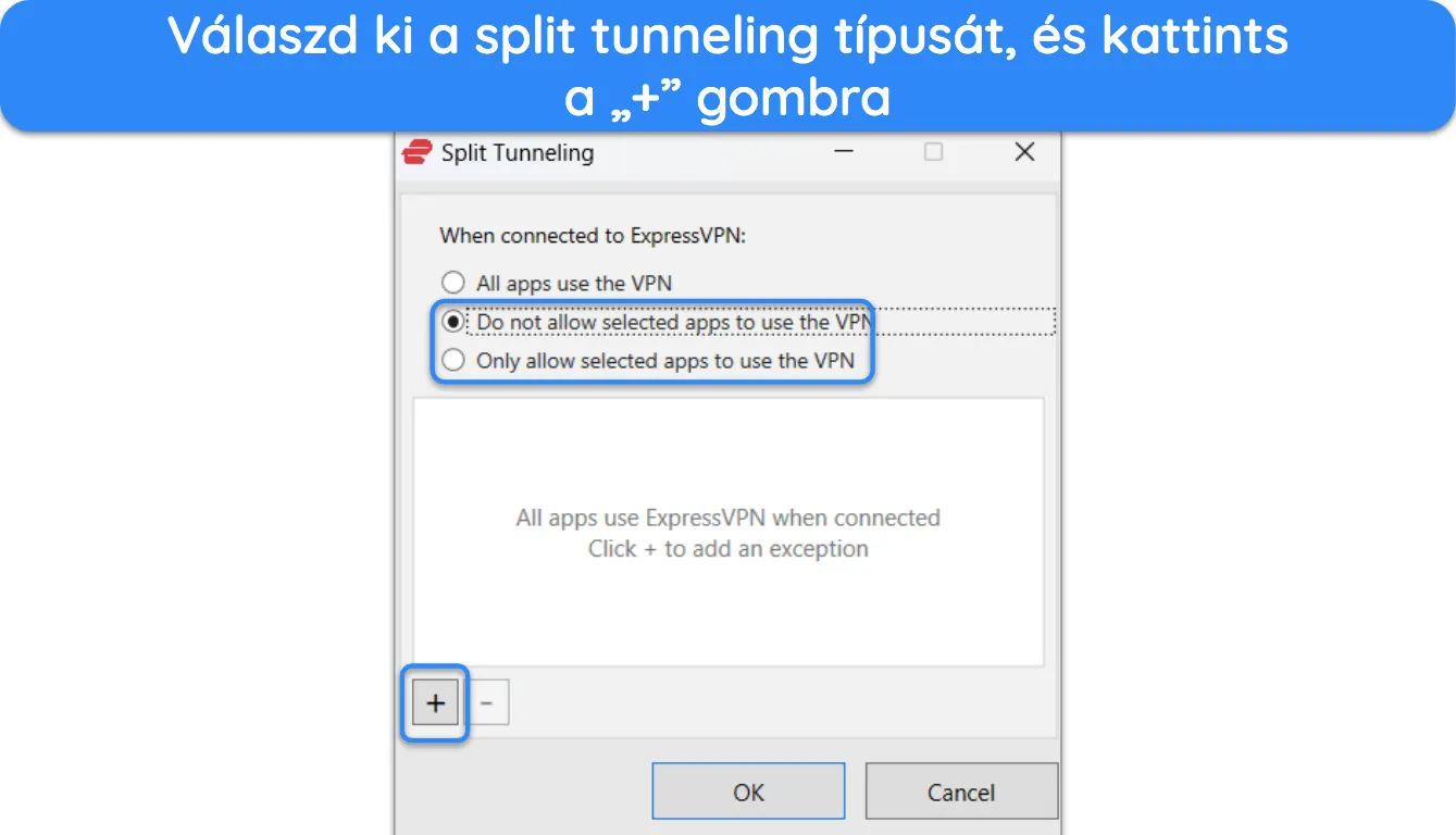 K&eacute;pernyők&eacute;p, amely bemutatja, hogyan kell kiv&aacute;lasztani az osztott alag&uacute;t t&iacute;pus&aacute;t az ExpressVPN-ben.