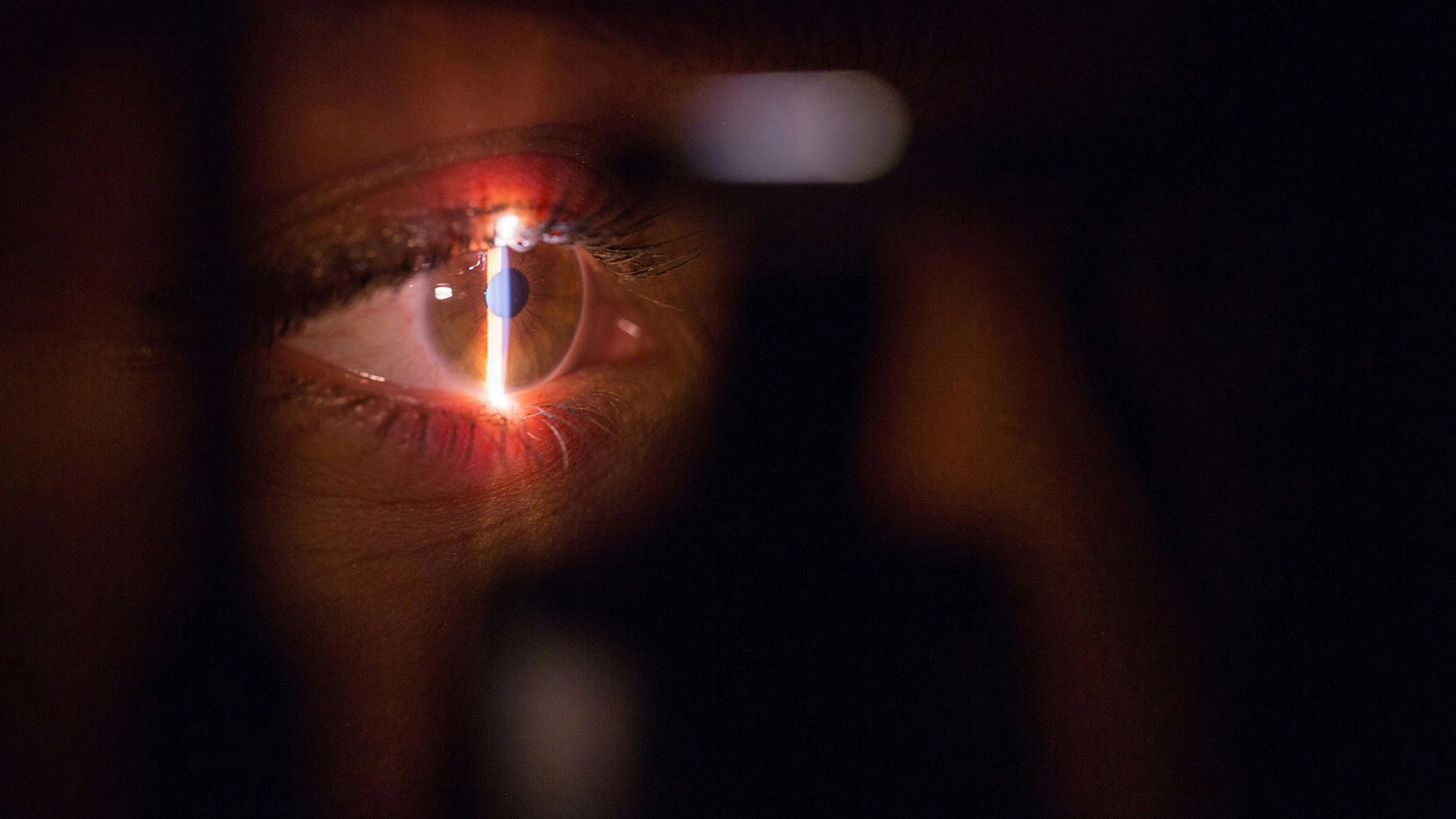 Gaming&rsquo;s Bot Problem: Would You Scan Your Eye to Prove You&rsquo;re Human?