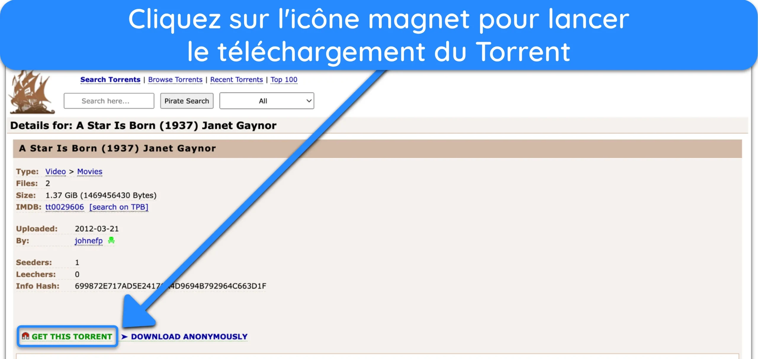Capture d'&eacute;cran montrant le lien magn&eacute;tique d'un fichier torrent sur The Pirate Bay.