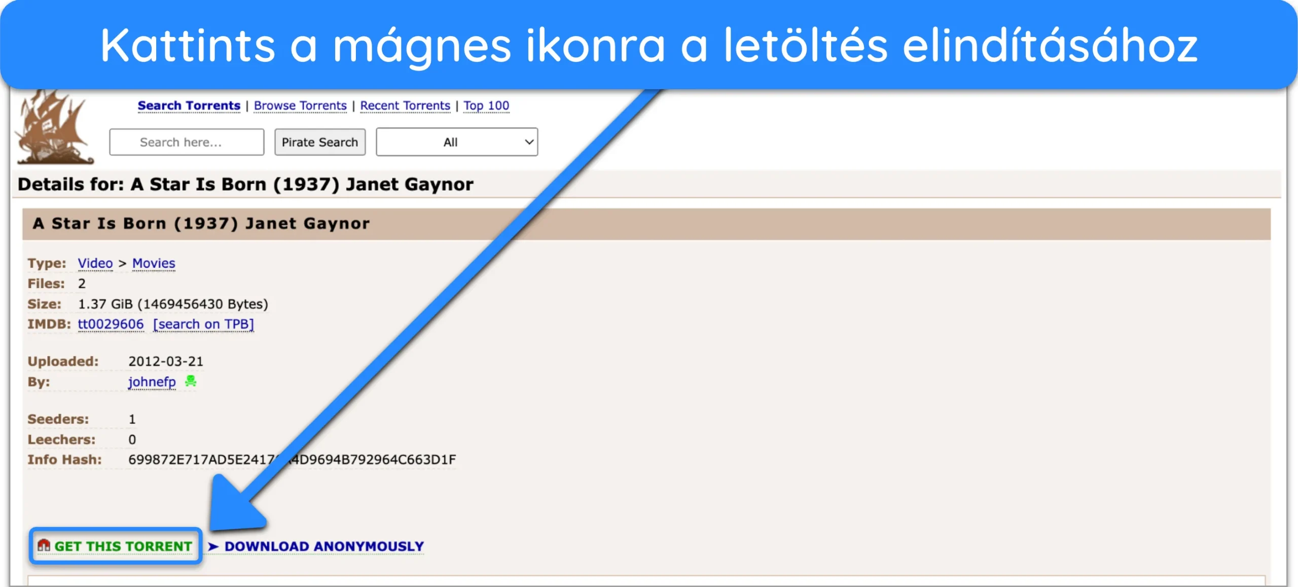 K&eacute;pernyők&eacute;p, amely egy torrentf&aacute;jl m&aacute;gneses hivatkoz&aacute;s&aacute;t mutatja a The Pirate Bay-en.