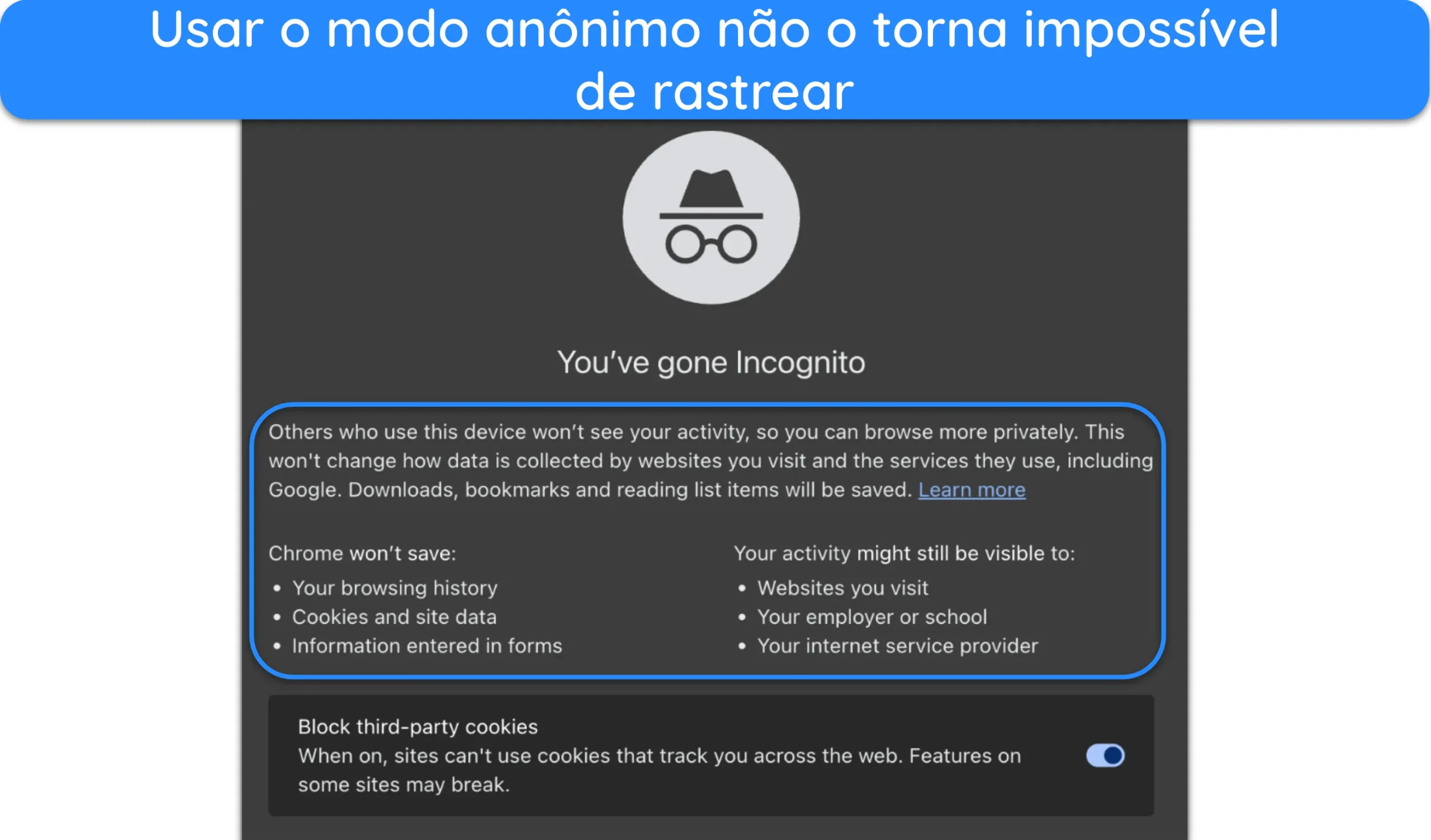 Captura de tela da interface do modo an&ocirc;nimo do Google Chrome.