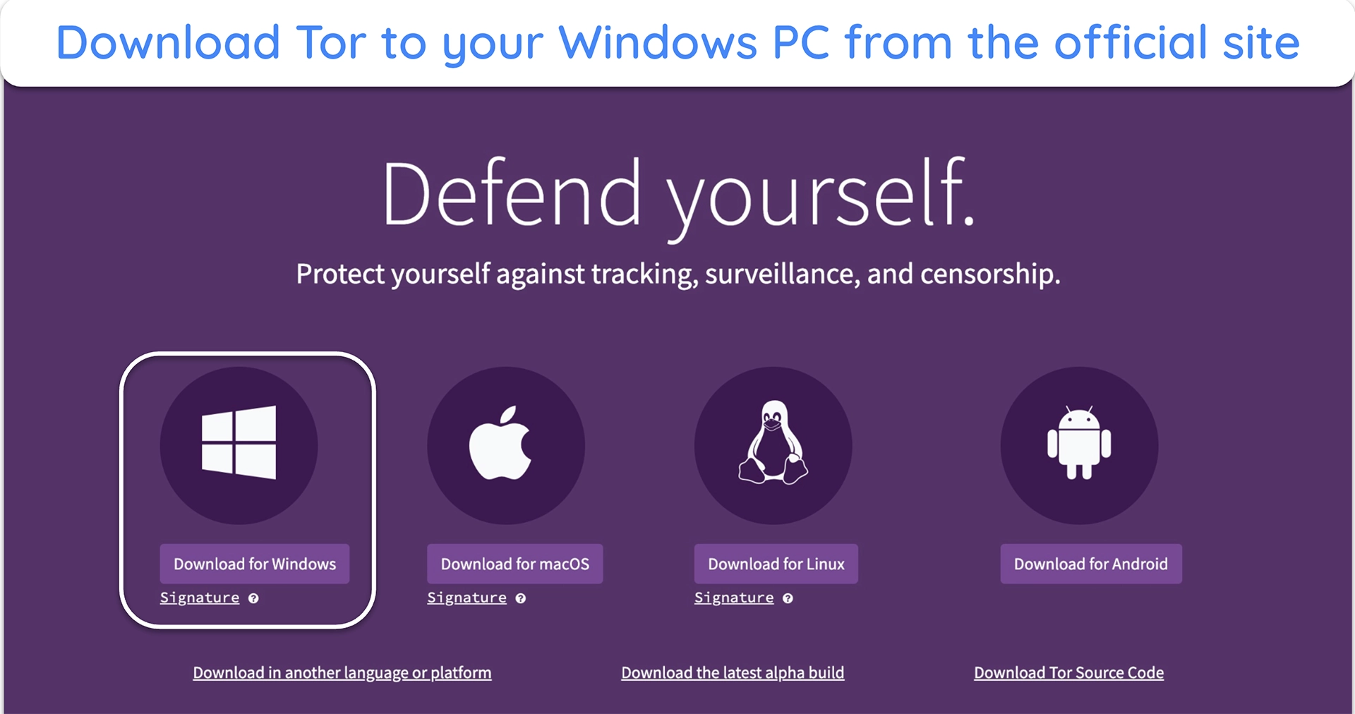 image of Tor Project website with "Download for Windows" highlighted.