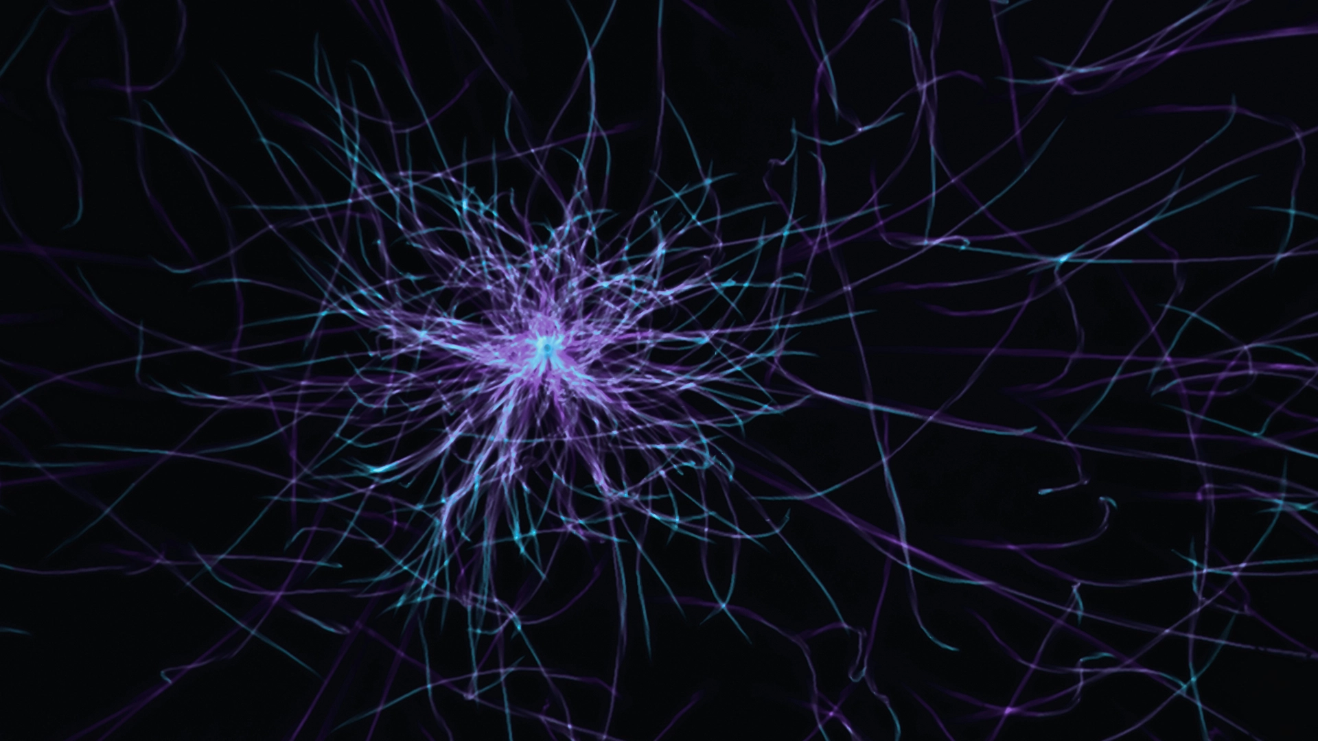 Mira Murati&rsquo;s Thinking Machine Launches Training API Tinker